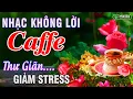 Download Lagu Nhạc Không Lời Buổi Sáng 2025 | Hòa Tấu Rumba Guitar | Nhạc Vàng Hải Ngoại Không Lời Hay Nhất