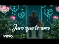Lagu Alan Walker Type - Juro que te amo (Esclusive Remix 2026)