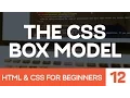 HTML CSS for Beginners Part 12 The CSS Box Model - Margin Borders Padding explained