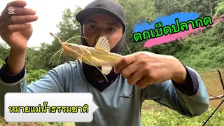 ตกปลากด หมายแม่น้ำธรรมชาติ มีตัวพอได้ดึง | ຕຶກເບັດປາກົດແມ່ນໍ້າທຳມະຊາດ