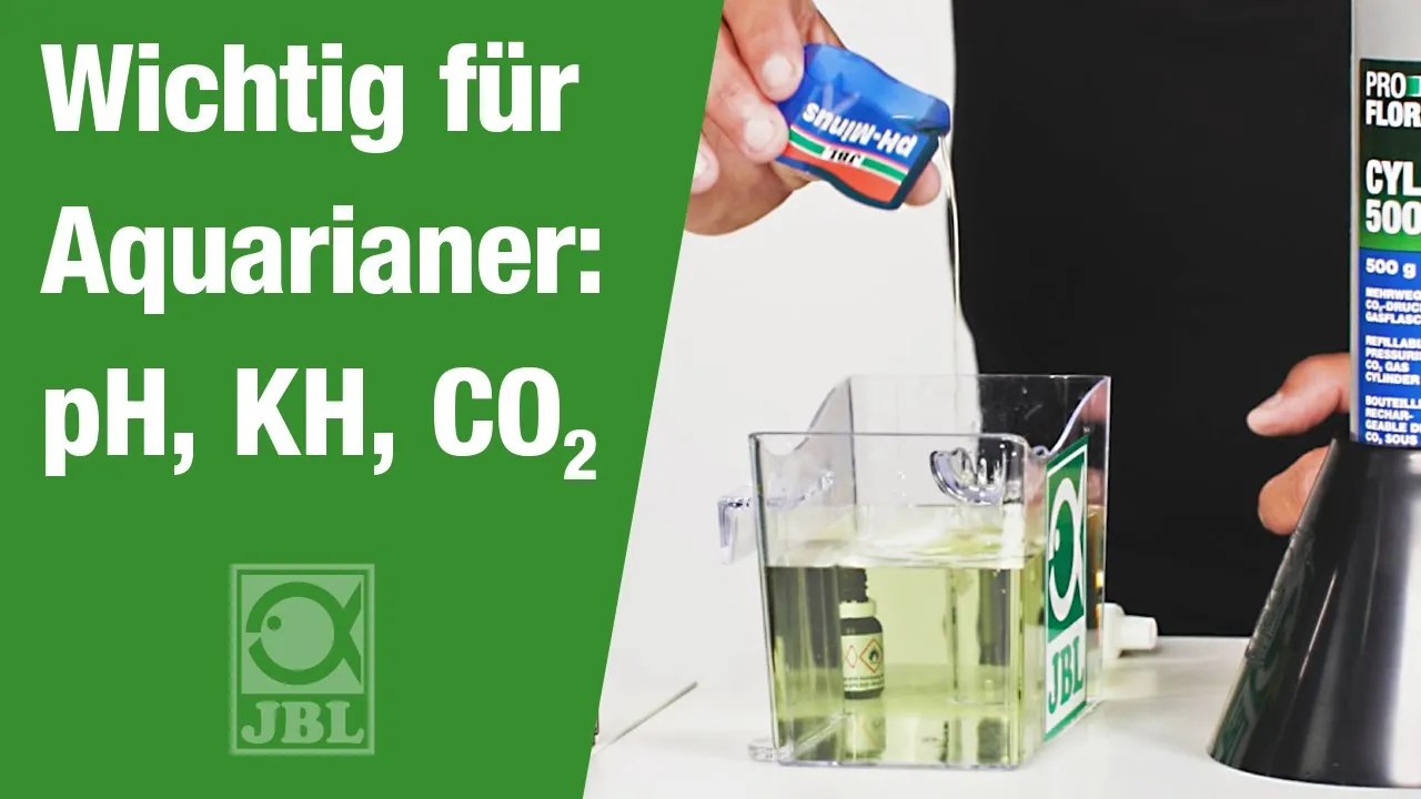 JBL TV 38: Wichtig für Aquarianer: pH, KH und CO2 - Der Zusammenhang