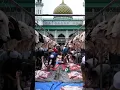 Download Lagu distribusi daging kurban untuk Idul Adha kepada ratusan sapi di Thailand (POV)