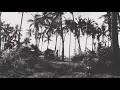 Alon - VVS Collective  (Lyrics Video)