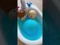 Japanese BIG Bath Bomb DX May 5,2023 Part170 #shorts #bones @AlinaSaito