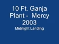 10 Ft  Ganja Plant  -  Mercy   2003