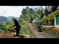Download Lagu Hening damai ‼️inilah kampung impian orang kota cocok untuk menikmati hari tua