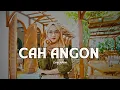 Download Lagu Cah Angon By Dini Ariani  (Official Video Lirik \u0026 Musik)
