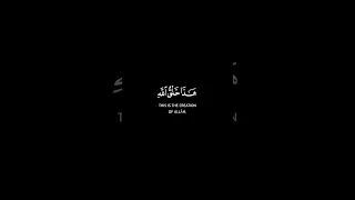 هذا خلق الله فأروني ماذا خلق الذين من دونه   سورة لقمان    كروم سوداء للتصميم    القارئ ياسر الدوسري دندنها