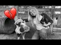 Download Lagu Stewy the pig passed away..