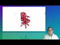02 - Feature Extraction from 3D Point Clouds Decision Trees Entropy Explained ML for 3D Vision