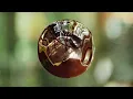 FKJ - Stay A Child (Official Audio)