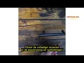 Download Lagu Review HOOBRO Archiefkast, Rolcontainer met 5 Laden, Houten Bureaukast, Commode Opbergkast, Industri