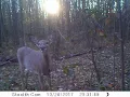 Trackside Cam 10272017 010