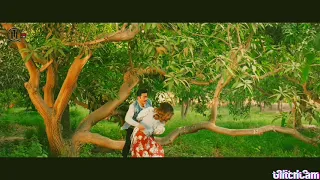 قولني كلام تامر حسني دندنها