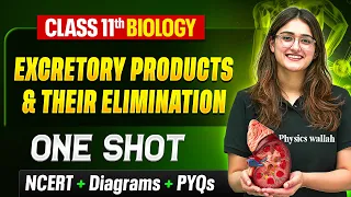 Excretory Products and their Elimination - Boards Zoology