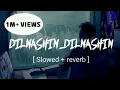 Download Lagu Dil nashi Dil Nashi [Slowed X Revarb]