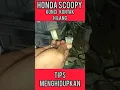Download Lagu Pengguna Motor Scoopy Wajib Tahu #shorts