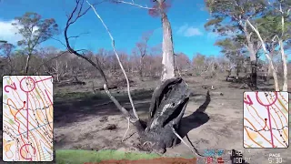 Orienteering Easter Middle Distance Tasmania 2018