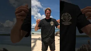 NEW MERCH ONLINE NOW!