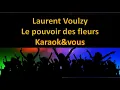 Karaoké Laurent Voulzy - Le pouvoir des fleurs