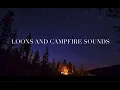 Lagu 1 Hour Loon Calls With Campfire Sound - Loon Calls For Relaxing; *NO MUSIC*