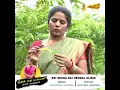 Lagu benefits of nellikai(நெல்லிக்காய்) -AMLA