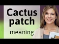 Understanding the Phrase Cactus Patch