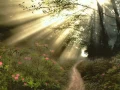 Download Lagu Morgenstimmung.Morning Mood.Peer Gynt.Grieg.begins with nature sounds Edited by Marino van Wakeren.
