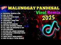 Lagu NEW🔥BEST MALUNGGAY PANDESAL X TIKTOK BUDOTS VIRAL REMIX 2025🇵🇭
