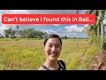 Download Lagu A private walking tour in Bali…  Hidden Temples \u0026 Waterfalls