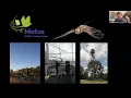 MOTUS Wildlife Tracking System with Scott Weidensaul