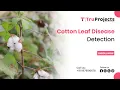 Cotton Leaf Disease Detection
