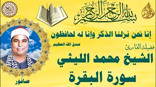 البقرة صافور الشيخ محمد الليثي 