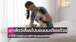  สุนัขและแมวที่เลี้ยงในบ้านมีผลต่อการนอนหลับอย่างไร 