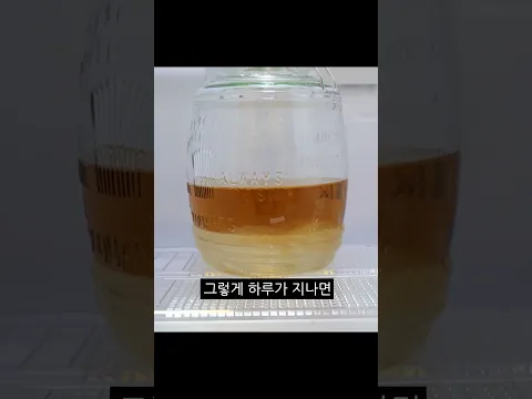 해파리를 잡아서 과자로 만들어 먹어보자