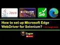 How to set up Microsoft Edge WebDriver for Selenium