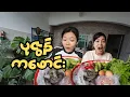 Download Lagu ပုဇွန် ကဖောင်း