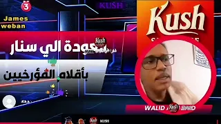 العودة إلي سنار بأقلام المؤرخين الاستاذ وليد أبو زيد 
