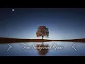 Download Lagu # 1 Hour Upbeat Background Music Best MBB Music Collection Free Download