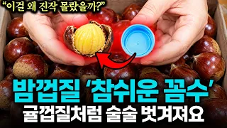 "밤을 '이것' 위에 올려보세요" 밤껍질 1초에 1개씩 알맹이만 쏙 빼는 30년차 주부의 밤 쉽게 까기 특급 비법입니다. 오늘부터 평생 써먹으세요 (식재료 백과사전)