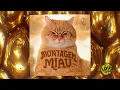 MONTAGEM MIAU (SPED UP)