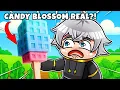 Download Lagu Cobain Makanan Grow a Garden di Dunia Nyata! (Ada Candy Blossom?!)