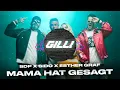 SDP X SIDO X ESTHER GRAF - MAMA HAT GESAGT (Gilli REMIX)