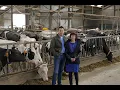 Lagu Efficiënt werken Van Stempvoort beloont met hoge melkproductie