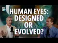 Download Lagu Human Eyes: Designed or Evolved? | Jeff Zweerink and Andy Moyes
