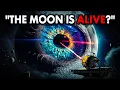Download Lagu Een levende maan? NASA onthulde de waarheid