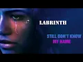 Labrinth || Still Don't Know My Name (EXTENDED)
