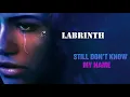 Download Lagu Labrinth || Still Don't Know My Name (EXTENDED)