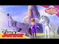 Download Lagu Horse Friends | Sofia the First 👑 | Disney Junior Arabia