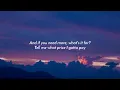 The Chainsmokers - Why Can't You Wait (Lyrics) ft. Bob Moses